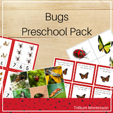 Bugs Unit Preschool and PreK Skills
