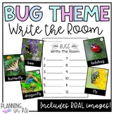 Bugs Write the Room Vocabulary Cards and Worksheets | Kind