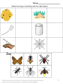 bugs insects kindergarten special education preschool fine