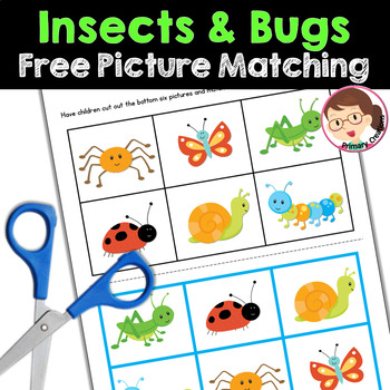 Preview of Bugs and Insects Activities Preschool, PreK, Autism - Picture Matching