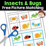 Bugs and Insects Activities Preschool, PreK, Autism - Pict