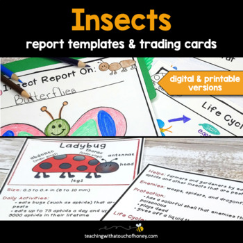 Preview of Bugs and Insects Activities: Trading Cards and Research Report Writing BUNDLE