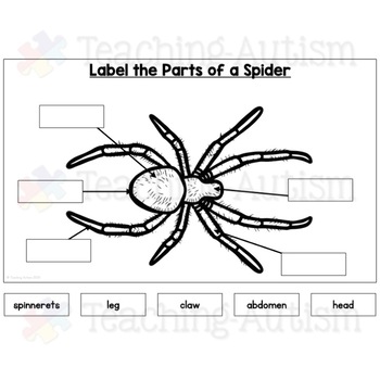 Bugs and Insects Activity | Label the Insect Distance Learning | TpT