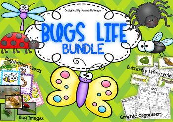 Preview of Bugs and Insects BUNDLE - Miss Mac Attack