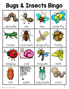 Preview of Bugs and Insects Bingo Game