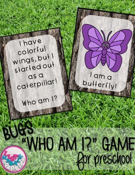 Preview of Bugs and Insects Comprehension Activity