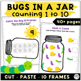 Bugs and Insects Fun Summer Math Activities Counting to 10