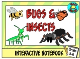 Bugs and Insects Interactive Notebook
