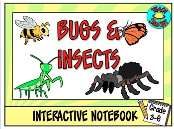 Preview of Bugs and Insects Interactive Notebook