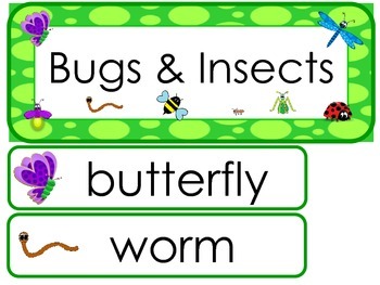 Preview of Bugs and Insects Word Wall Weekly Theme Bulletin Board Labels.