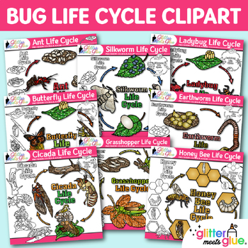 Preview of Bugs and Insects Life Cycle Clipart Bundle: Transparent PNG, Commercial Use