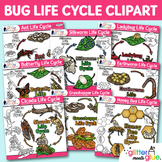Bugs and Insects Life Cycle Clipart Bundle: Transparent PN