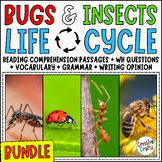 Bugs and Insects Life Cycle Science Reading Comprehension 