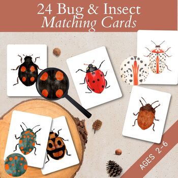 Preview of Bugs and Insects Matching Flashcards Puzzles, Montessori, Visual Discrimination