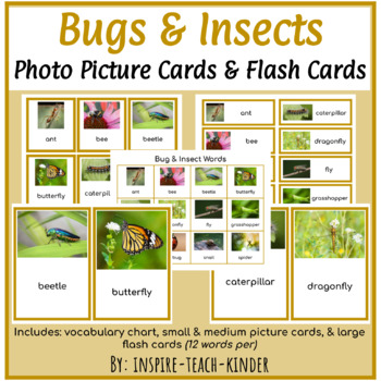 Bugs and Insects Photo Picture Cards & Flash Cards (Montessori) | TpT