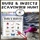 Bugs and Insects Scavenger Hunt | Printable Checklist for 