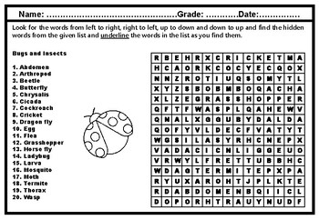 Bugs and Insects Vocabulary, Life Cycle, Body Parts, Word Search Worksheet