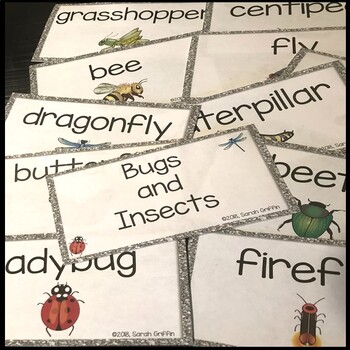 Bugs and Insects Word Wall Cards by Little Learning Corner | TpT