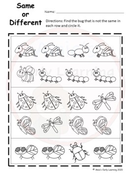 Bugs and Insects Worksheets by Allie Made Designs | TpT
