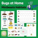 Bugs at Home - Minibeasts Habitats
