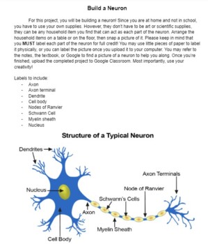Preview of Build A Neuron Activity