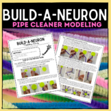 Build-A-Neuron Modeling Activity