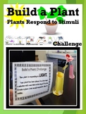 Build A Plant STEAM Challenge