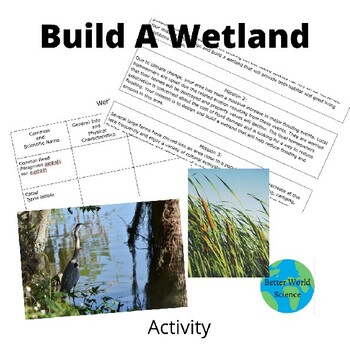 Preview of Build A Wetland