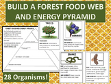 Build  Forest Food Web and Energy Pyramid Performance Task