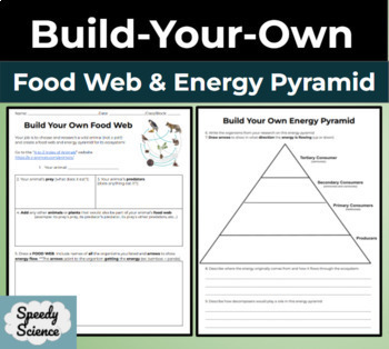 Preview of Build Your Own Food Web and Energy Pyramid - Research Activity