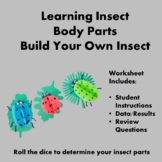 Build Your Own Insect - Learning Insect Body Parts