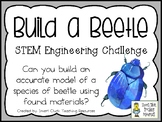 Build a Beetle - STEM Engineering Challenge