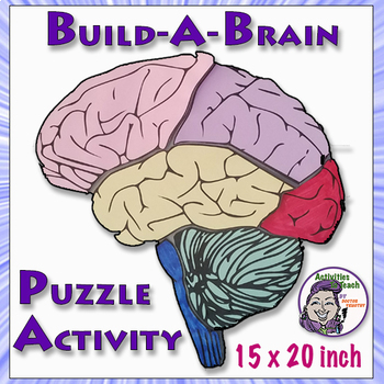Preview of Human Brain: Build-a-Brain Puzzle Activity