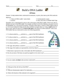 Build a DNA Ladder Worksheet