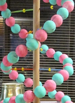 dna model project with beads