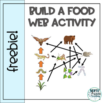 Preview of Build a Food Web Activity - Distance Learning