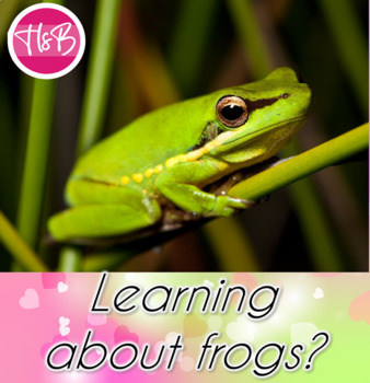 Preview of Build a Frog | Fastner Hands On Activities | Learn about Frogs Supplement |Print