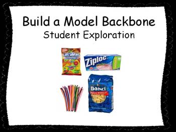 Preview of Build a Model Backbone Student Exploration