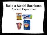Build a Model Backbone Student Exploration