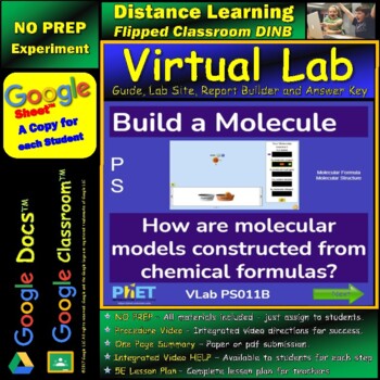 Preview of Build a Molecule STAR* Virtual Lab Google Docs™ DINB