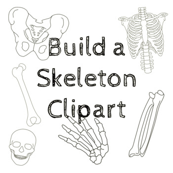 Preview of Build a Skeleton, Commercial Use, Halloween and Anatomy Clipart