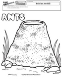 Build an Ant Hill