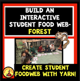 Build an Interactive STUDENT FOOD WEB!  FOREST Food chain Activity
