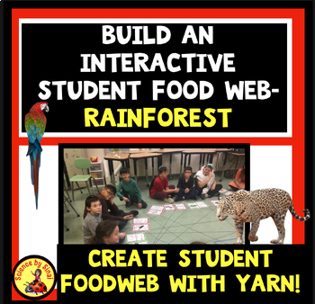 Rain Forest Food Chains Activities Teaching Resources | TPT