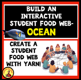 Build an Interactive STUDENT & Yarn FOOD WEB!  Food Chain 