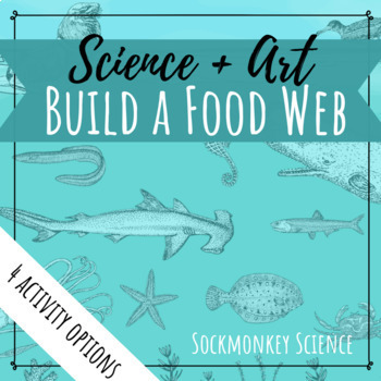 Preview of Build a Food Web: Marine Habitat "Create Your Own Ocean Food Web" Activity Set