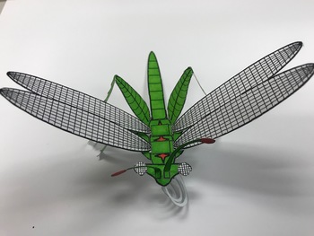 Preview of Build an insect