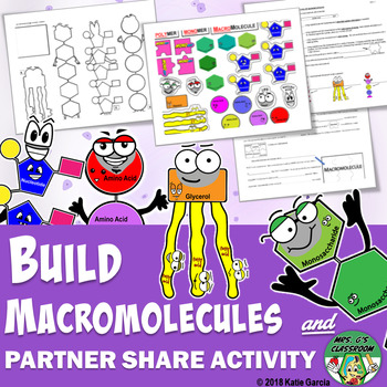 Preview of Build the 4 Major Macromolecules & Partner Share Activity