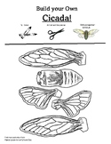 Build your Own Cicada, Free for a limited time! Summer 2024