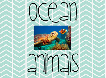 Preview of Building Background Knowledge - Ocean Animals